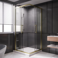 Душевой угол раздвижной 900Х900x2000 цвет профиля Золото брашированное стекло прозрачное  PTC20-G-9090-01-C4 Premium Veconi